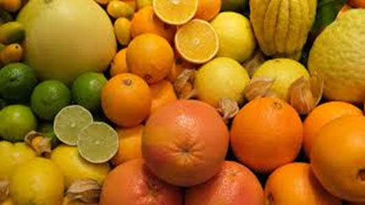 عوامل تاثیرگذار در طعم میوه - شهر گیاه